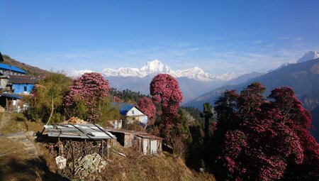 Nepal – Annapurna Panorama Lodge-Trek