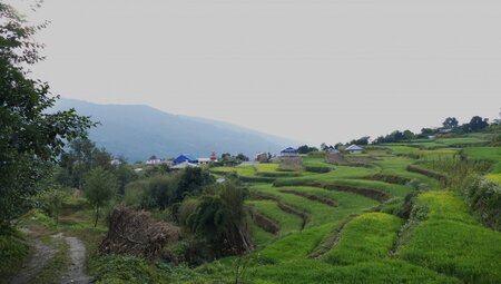 Nepal – Annapurna Panorama Lodge-Trek