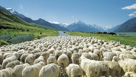 Neuseeland - Vielfalt zwischen Vulkanen und Regenwäldern