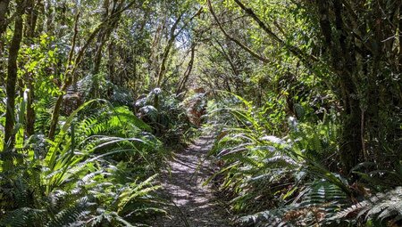 Neuseeland - Wanderparadies am Ende der Welt