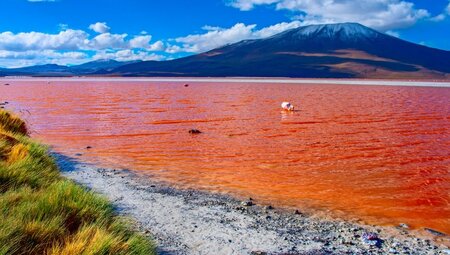 Chile – Bolivien – Peru: Zwischen Inka-Schätzen und Salzwüsten