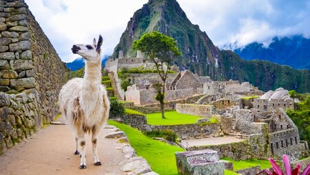 Chile – Bolivien – Peru: Zwischen Inka-Schätzen und Salzwüsten
