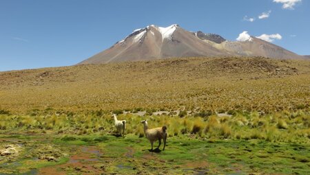 Chile – Bolivien – Peru: Zwischen Inka-Schätzen und Salzwüsten