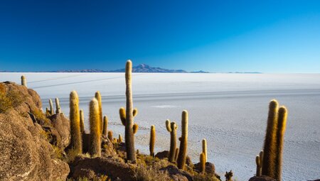 Chile – Bolivien – Peru: Zwischen Inka-Schätzen und Salzwüsten