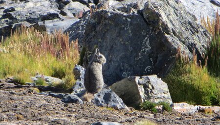 Peru, Bolivien – Legendäre Inka-Stätten und Cordillera Real