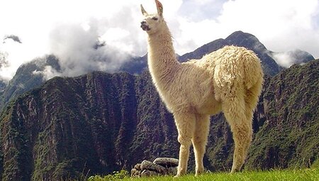 Peru, Bolivien – Legendäre Inka-Stätten und Cordillera Real