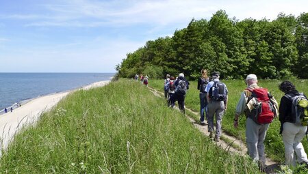 Dünen am Wasser bei Trzesacz