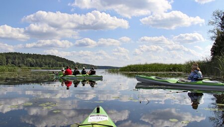 Polen - Wasserwege und Urwaldpfade