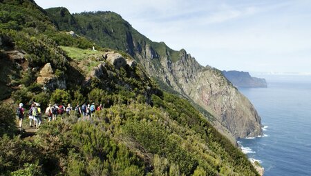 Madeira - Levadas, Lorbeer, Lavafelsen