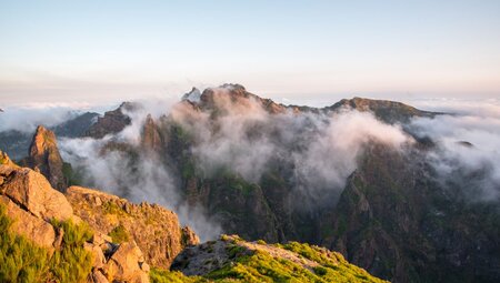 Madeira - Levadas, Lorbeer, Lavafelsen