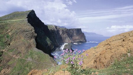 Madeira - Levadas, Lorbeer, Lavafelsen