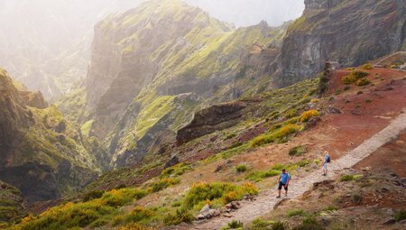 Madeira - Levadas, Lorbeer, Lavafelsen
