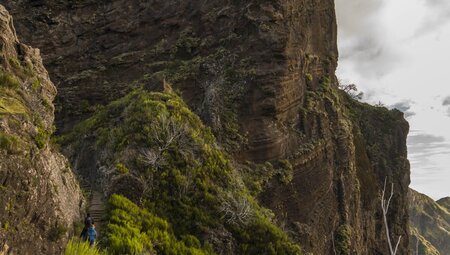 Madeira - Levadas, Lorbeer, Lavafelsen
