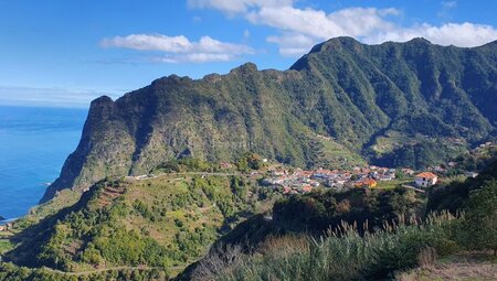 Madeira - Levadas, Lorbeer, Lavafelsen