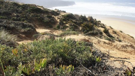 Portugal - Wellen, Wind und Weite