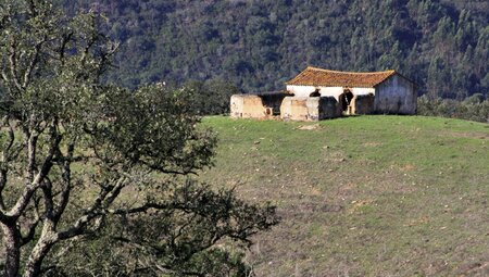 Portugal - Wellen, Wind und Weite