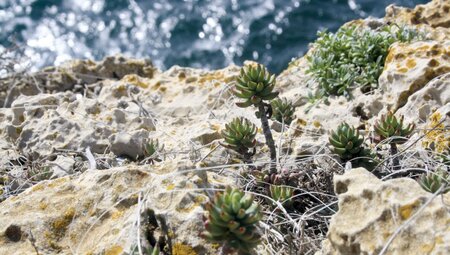 Portugal - Wellen, Wind und Weite