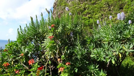 Madeira - Durch das wilde Zentralmassiv