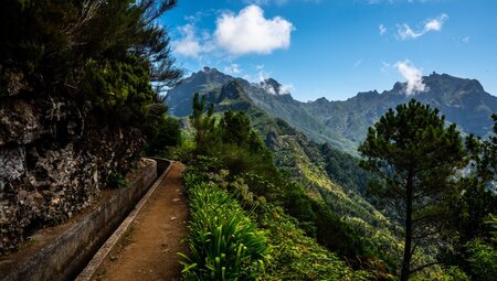 Madeira - Durch das wilde Zentralmassiv