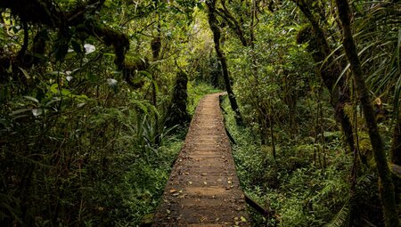 La Réunion - Trekkingpfade, Tropenwälder, Traumstrände (Selfguided)