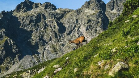 Slowakei - Großer Trek durch das kleinste Hochgebirge der Welt (Selfguided)