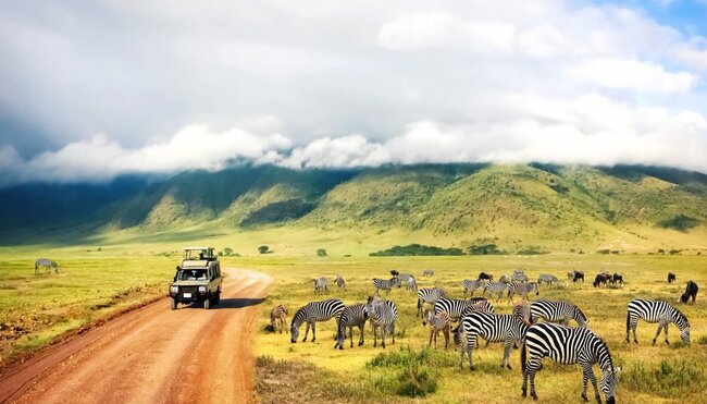 Safari Ngorongoro Krater National Park in Tansania
