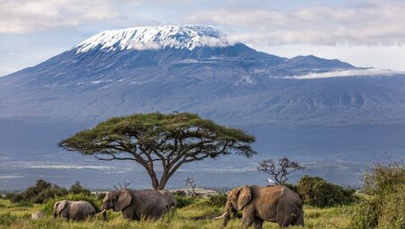 Kilimanjaro mit Schnee