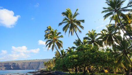 Keomo Beach in der Nähe von Kealakekua Bay, Captain Cook, North Kona, Big Island, Hawaii,