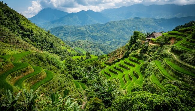 Reisterrassen Ha Giang Province