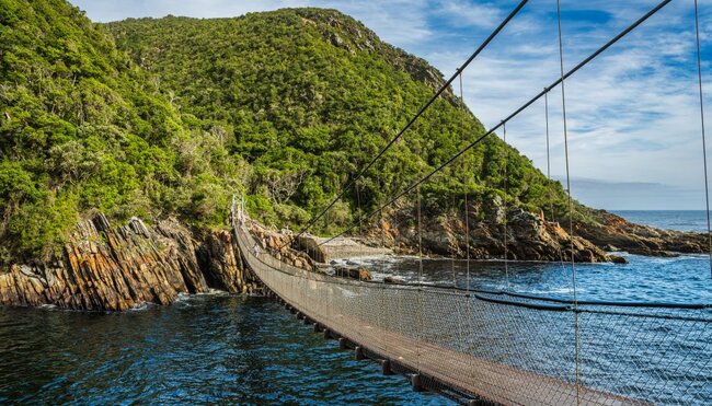 Hängebrücke auf der Garden Route des TsitsikammaNationalparks