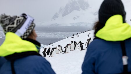 WWF Journey to the Circle and Giants of Antarctica (Ocean Endeavour) 