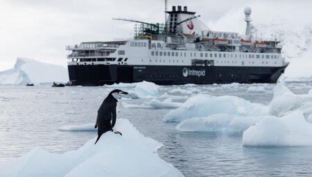 WWF Journey to the Circle and Giants of Antarctica (Ocean Endeavour) 