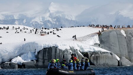 WWF Journey to the Circle and Giants of Antarctica (Ocean Endeavour) 