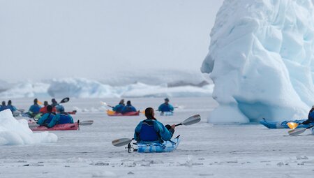 Best of Antarctica: A White Christmas (Ocean Endeavour)