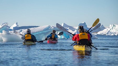 Best of Antarctica: A White Christmas (Ocean Endeavour)