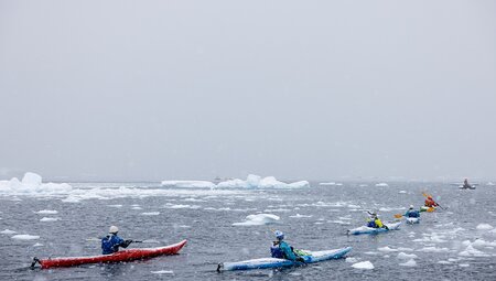 Best of Antarctica: A White Christmas (Ocean Endeavour)