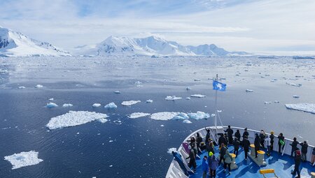 Best of Antarctica In Depth 