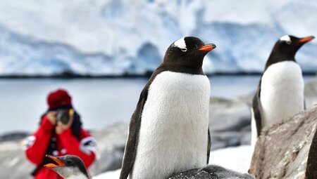 Best of Antarctica In Depth (Ocean Endeavour)