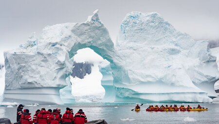 Best of Antarctica in Depth  (Ocean Endeavour)