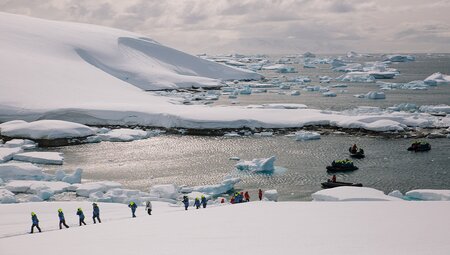 Best of Antarctica in Depth  (Ocean Endeavour)