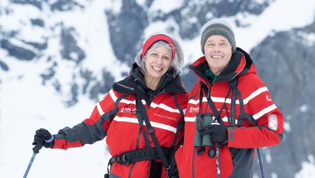 Best of Antarctica: Wildlife Explorer