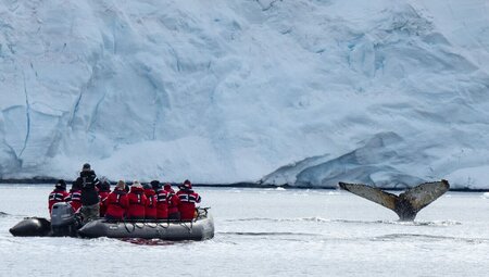 Best of Antarctica: Pristine Wilderness (Ocean Endeavour)