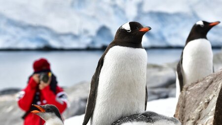 Best of Antarctica: Pristine Wilderness (Ocean Endeavour)