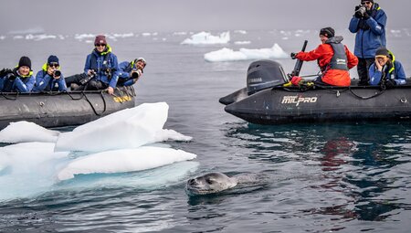 Antarctic Whale Journey (Ocean  Endeavour)