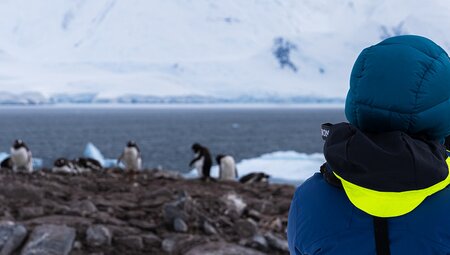 WWF Giants of Antarctica (Ocean Endeavour)