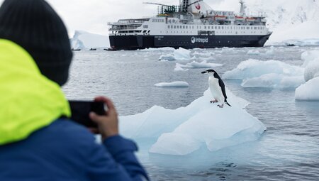 WWF Giants of Antarctica (Ocean Endeavour)