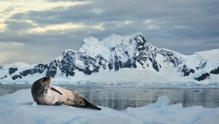 Ultimate Antarctic Circle Crossing (Ocean Albatros)