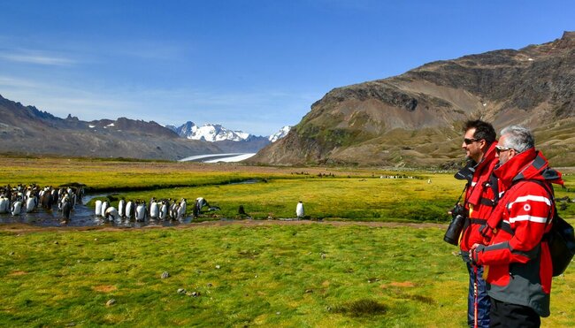 Ultimate New Year's: Falklands, South Georgia & Antarctic Circle (Ocean Albatros) 