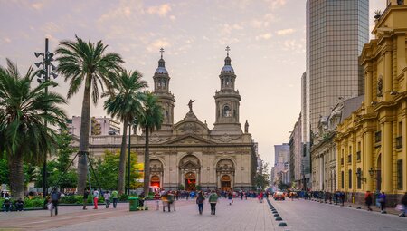 Premium Chile & Argentina
