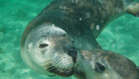 Ein herzliches Dankeschön an unsere Reisenden